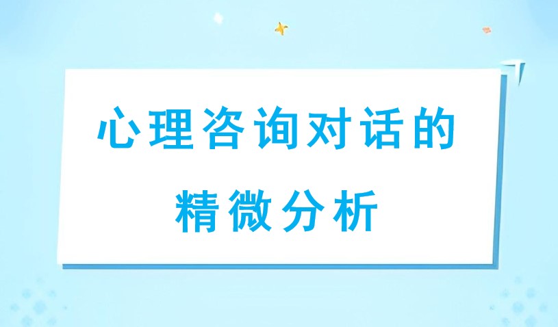 心理咨询对话的精微分析