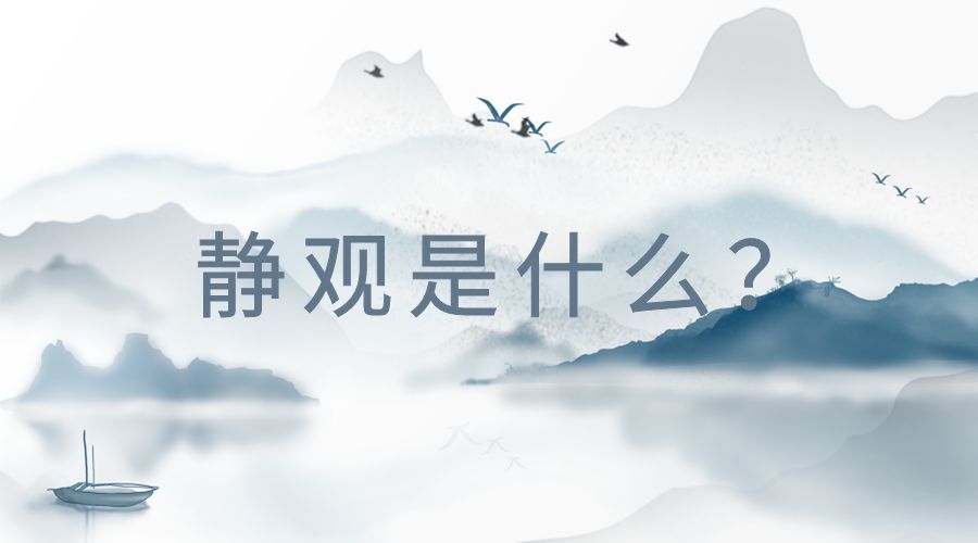 静观是什么？