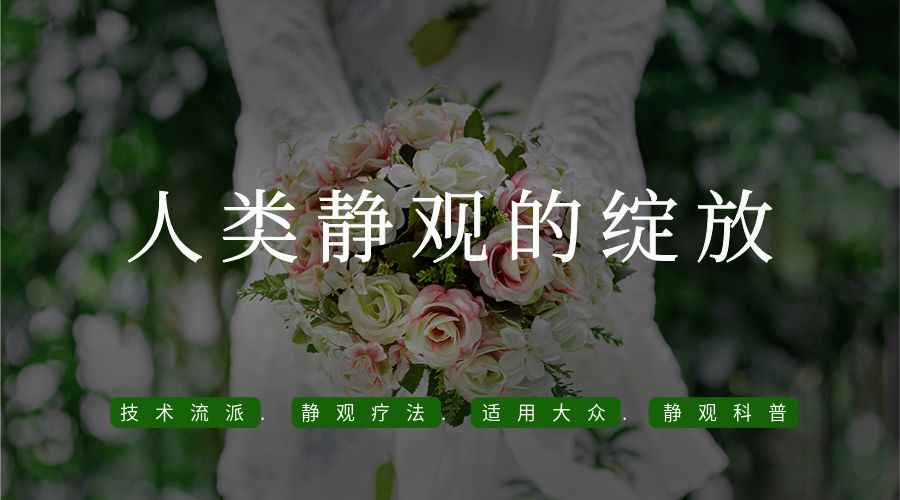 人类静观的绽放