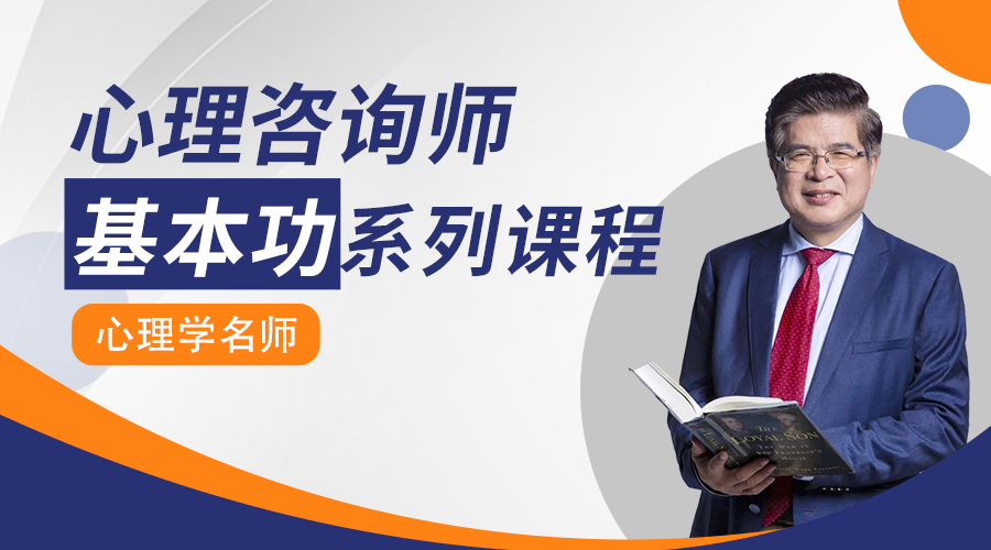 心理咨询师基本功系列课程