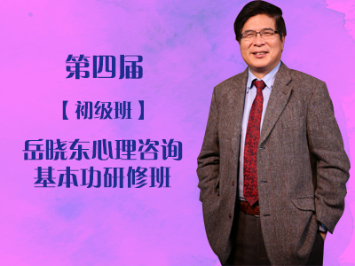 【第四届】【初级班】岳晓东心理咨询基本功研修班